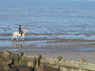  Horseback riding to the beach 
